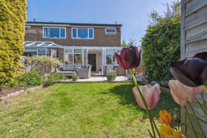 Photo 19- click for photo gallery